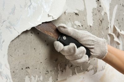 Wallpaper Removal Services