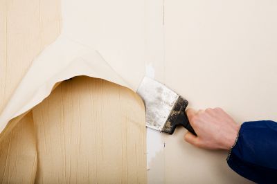 Wallpaper Removal Products and Supplies