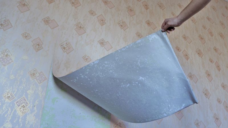 Contractor Working on Walls