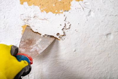 Tools Used in Wallpaper Removal